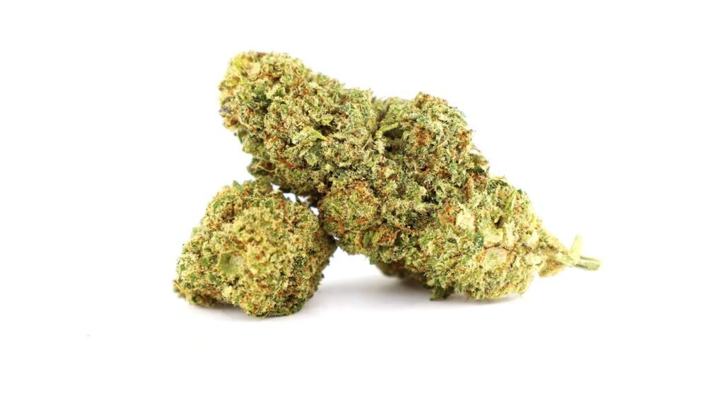 EXOTIC HAZE  - Fleur de CBD