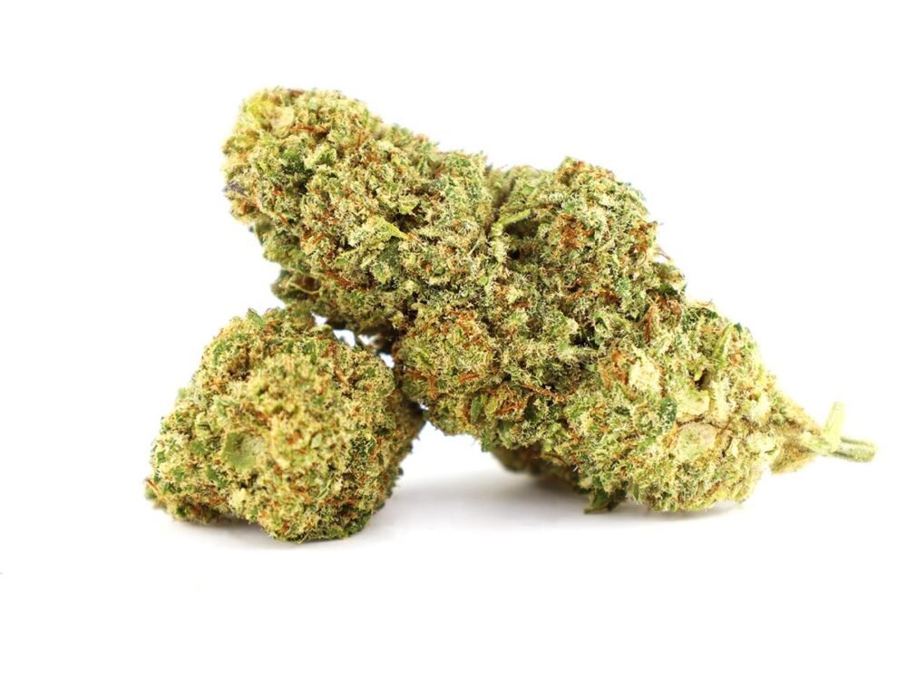 EXOTIC HAZE  - Fleur de CBD