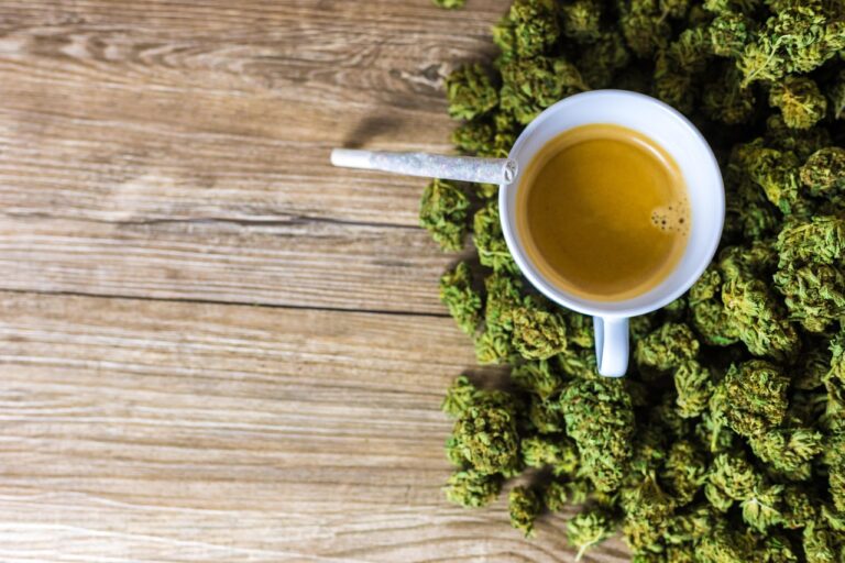 acheter du CBD online en France CBD c’est quoi les effets du CBD