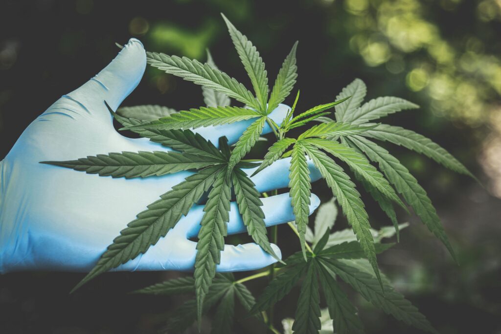 Où acheter du cannabidiol en France ? acheter cbd en ligne