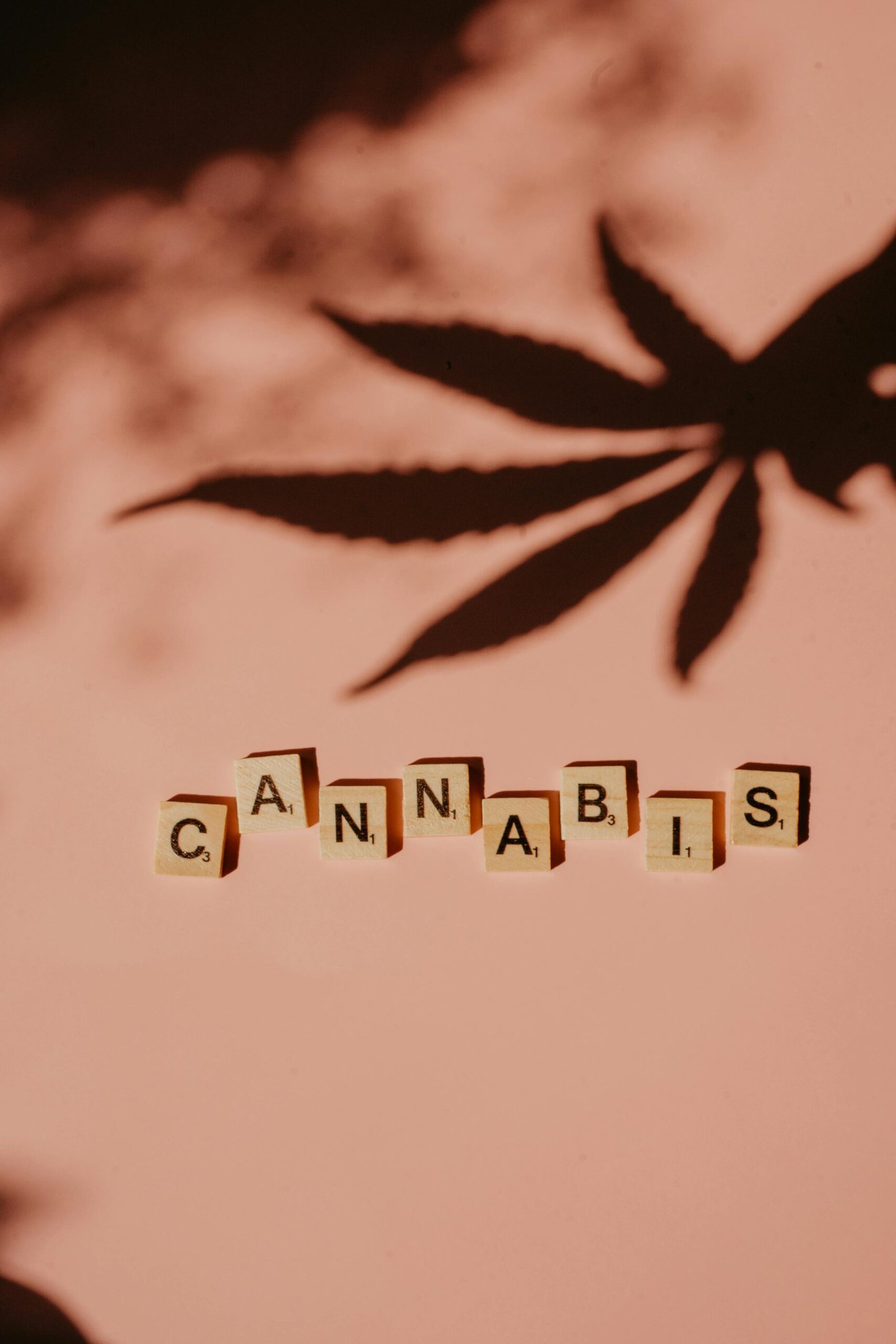 Artistic depiction of the word cannabis using Scrabble tiles and shadows.