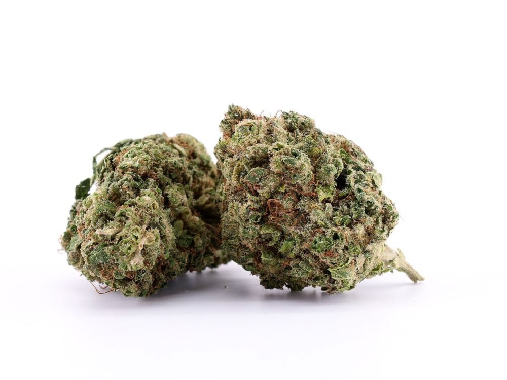 fleur de CBD Banana Sour